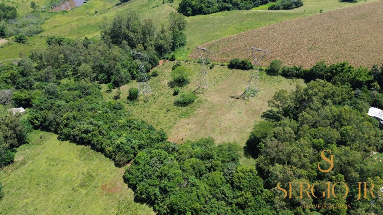 Chácara, 2 quartos, 2 hectares - Foto 4