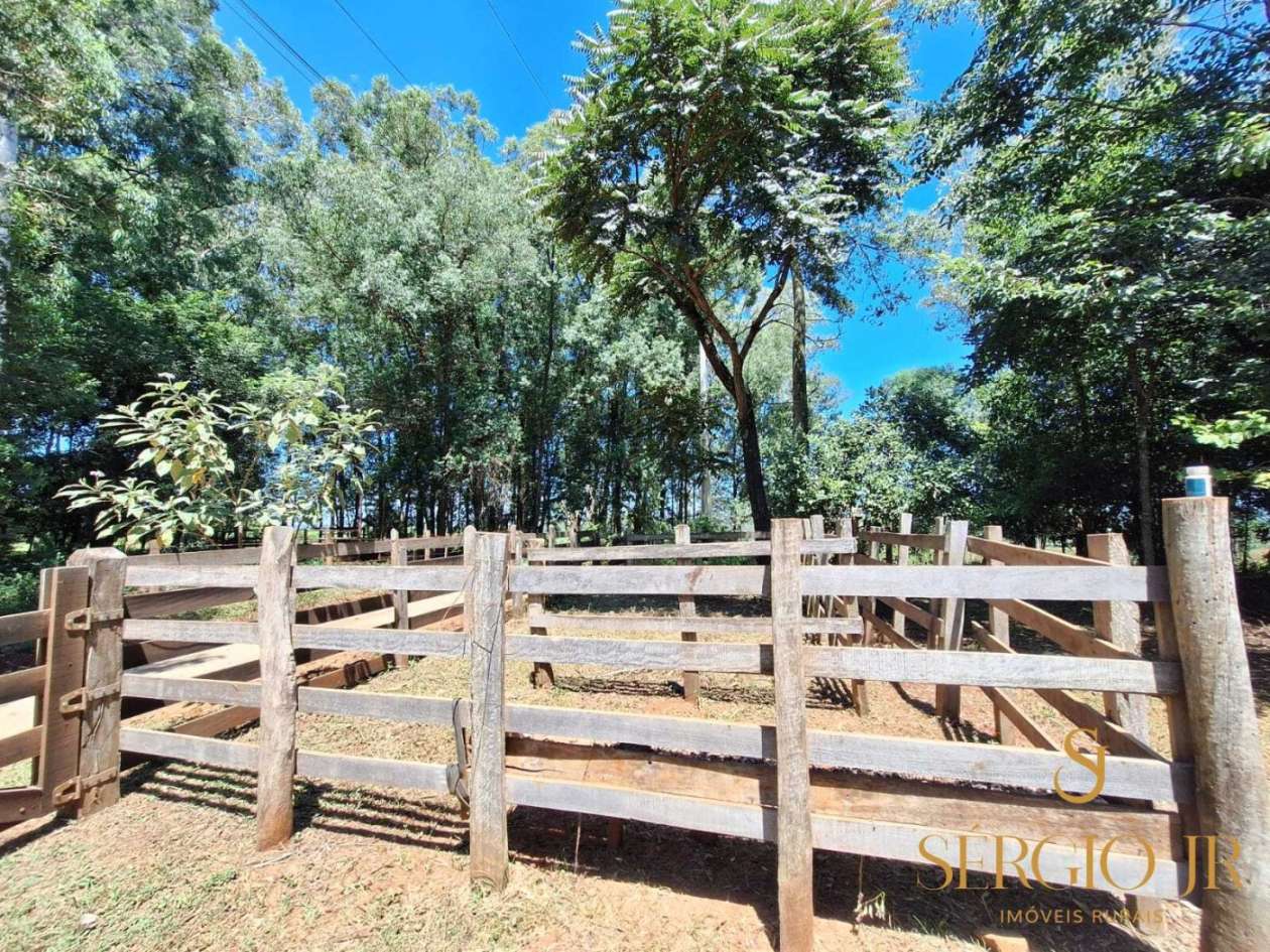 Chácara, 2 quartos, 2 hectares - Foto 10