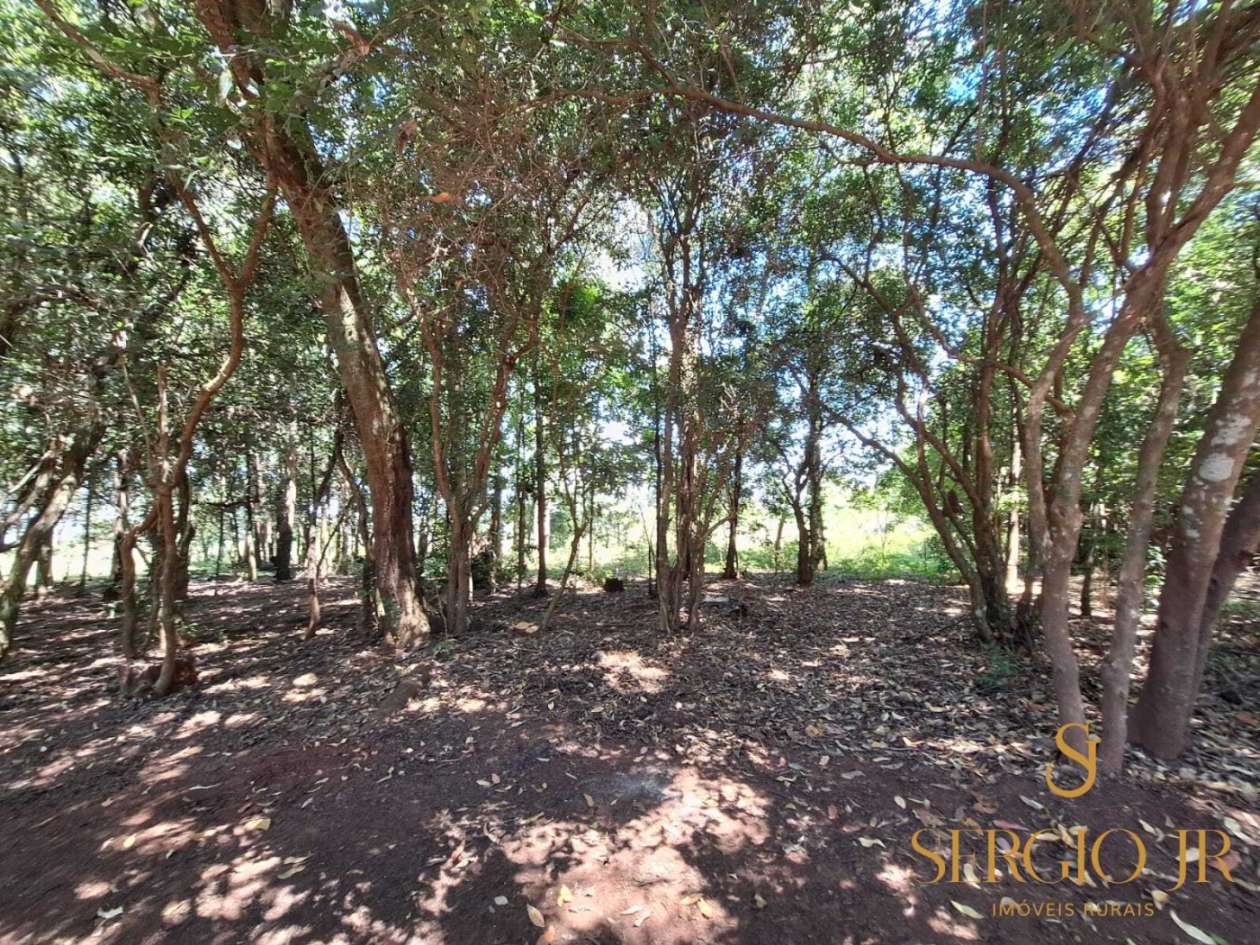 Chácara, 2 quartos, 2 hectares - Foto 13