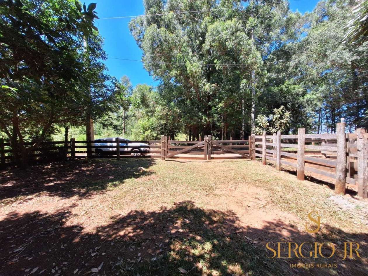 Chácara, 2 quartos, 2 hectares - Foto 16