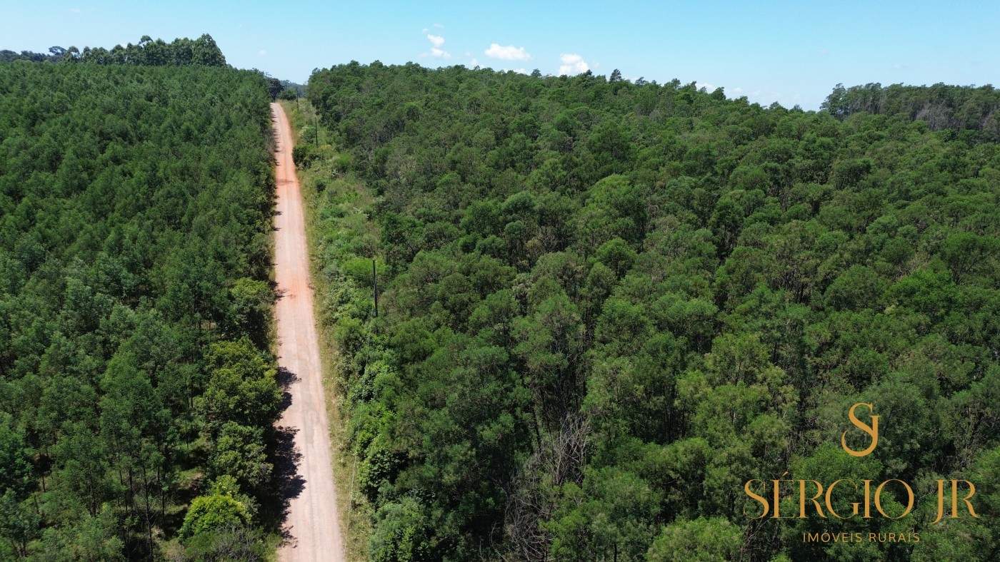 Loteamento e Condomínio, 5 hectares - Foto 2