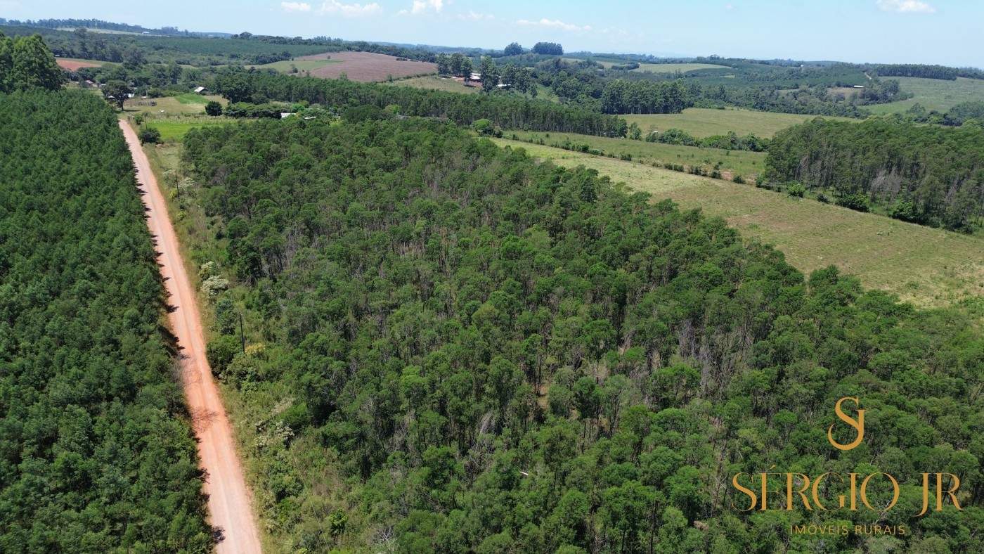 Loteamento e Condomínio, 5 hectares - Foto 3