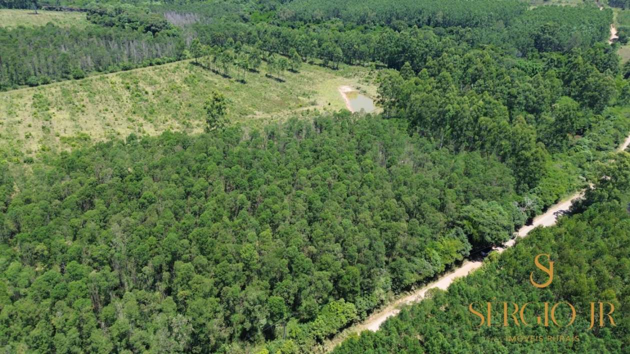 Loteamento e Condomínio, 5 hectares - Foto 4