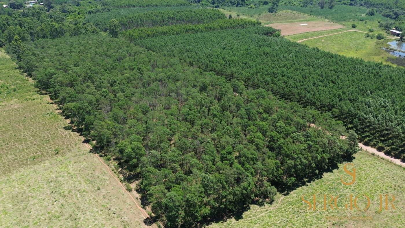 Loteamento e Condomínio, 5 hectares - Foto 8