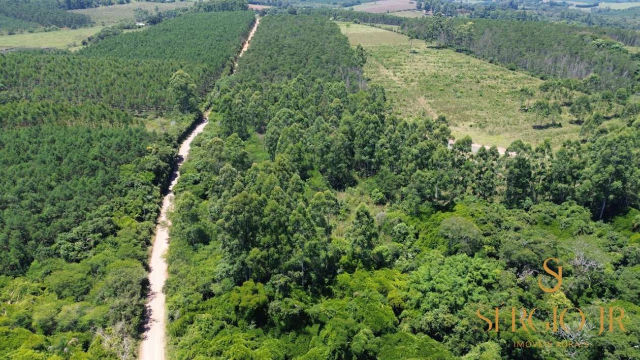 Loteamento e Condomínio, 5 hectares - Foto 10