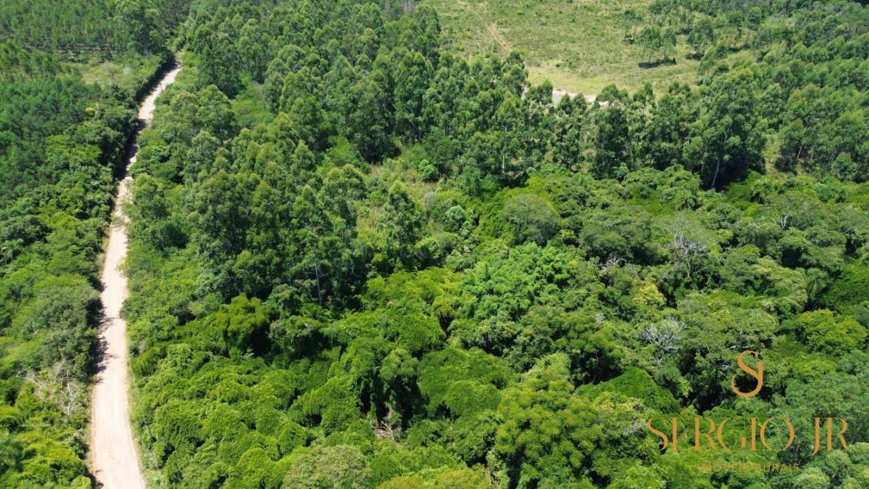 Loteamento e Condomínio, 5 hectares - Foto 11