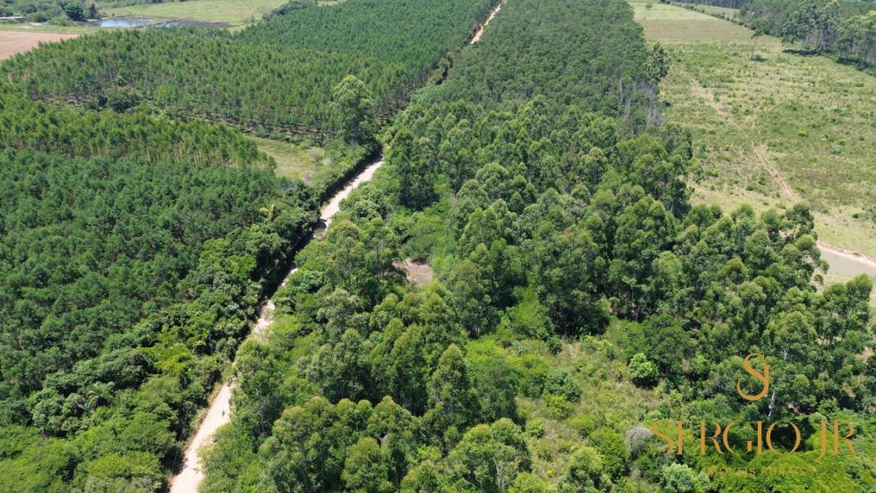 Loteamento e Condomínio, 5 hectares - Foto 12