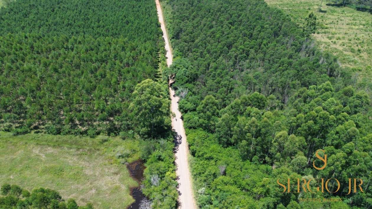 Loteamento e Condomínio, 5 hectares - Foto 13