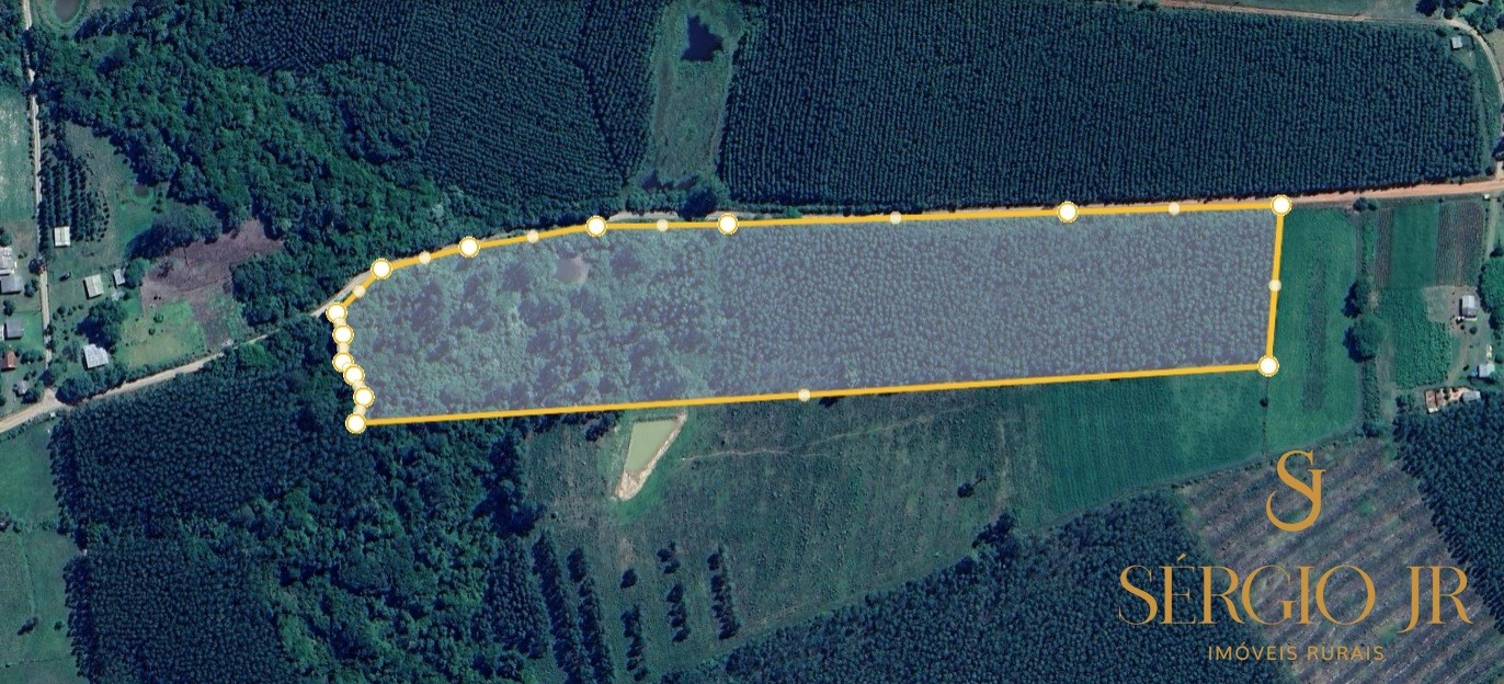 Loteamento e Condomínio, 5 hectares - Foto 15