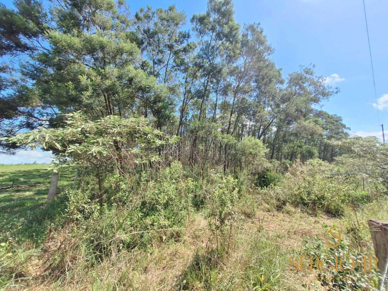 Loteamento e Condomínio, 5 hectares - Foto 18