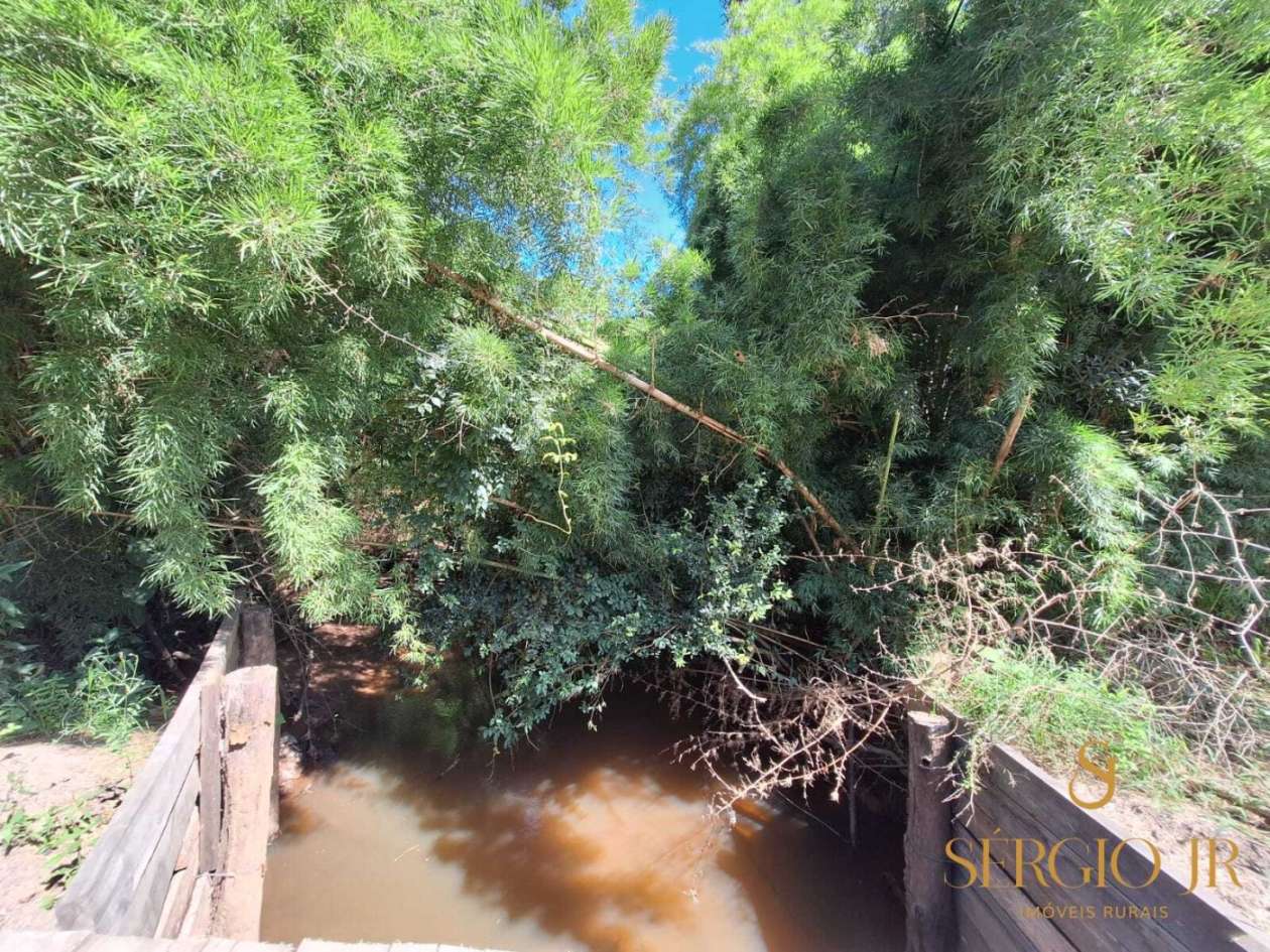 Loteamento e Condomínio, 5 hectares - Foto 17