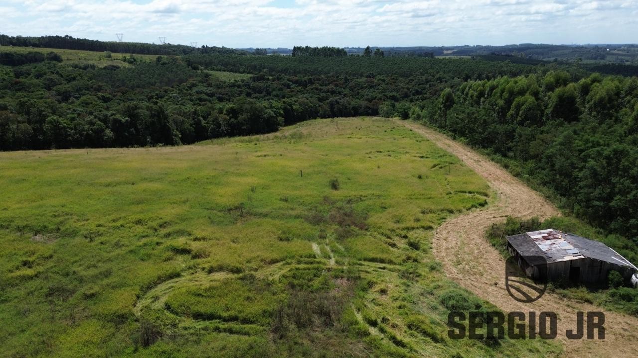 Chácara, 3 quartos, 6 hectares - Foto 5