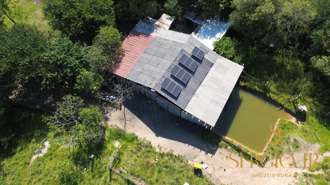Chácara, 3 quartos, 10000 m² - Foto 6