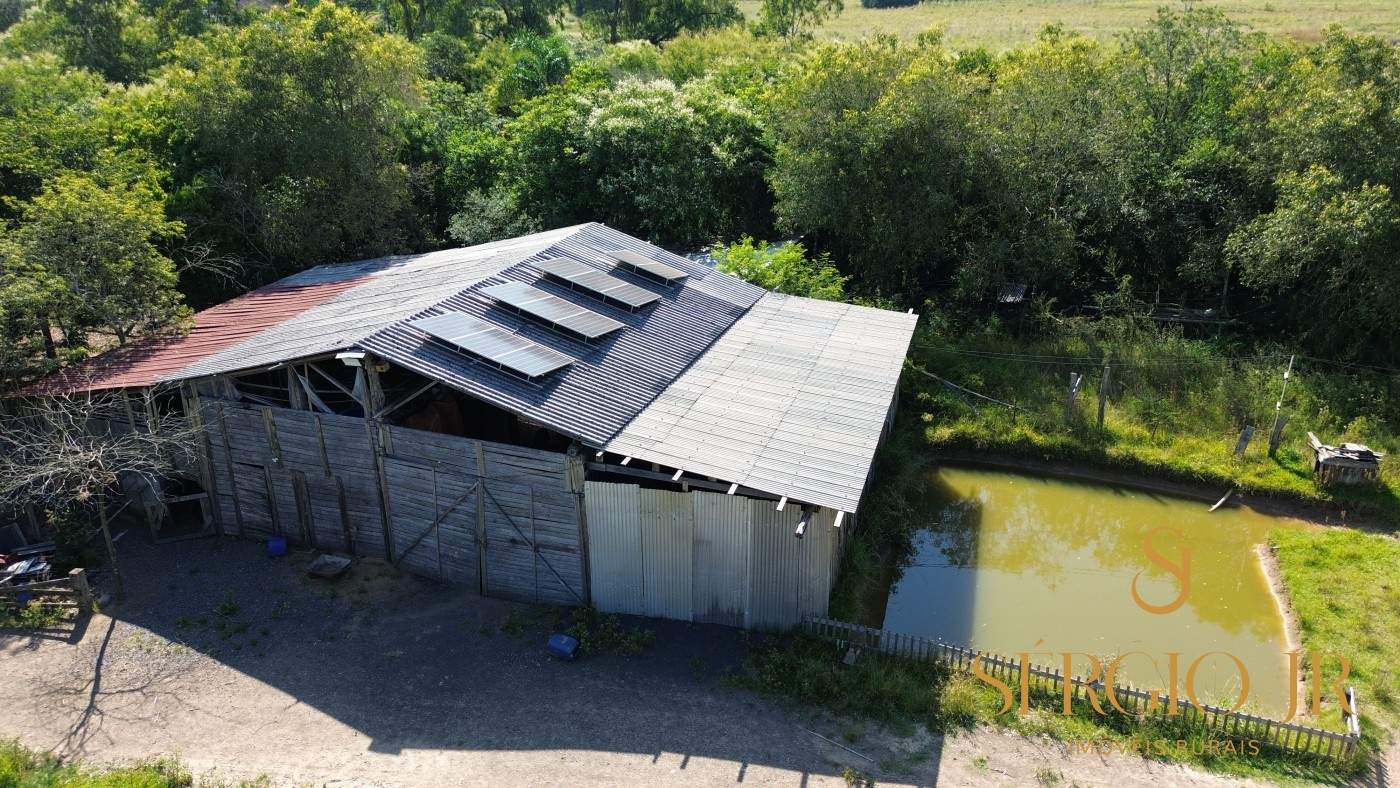 Chácara, 3 quartos, 10000 m² - Foto 7