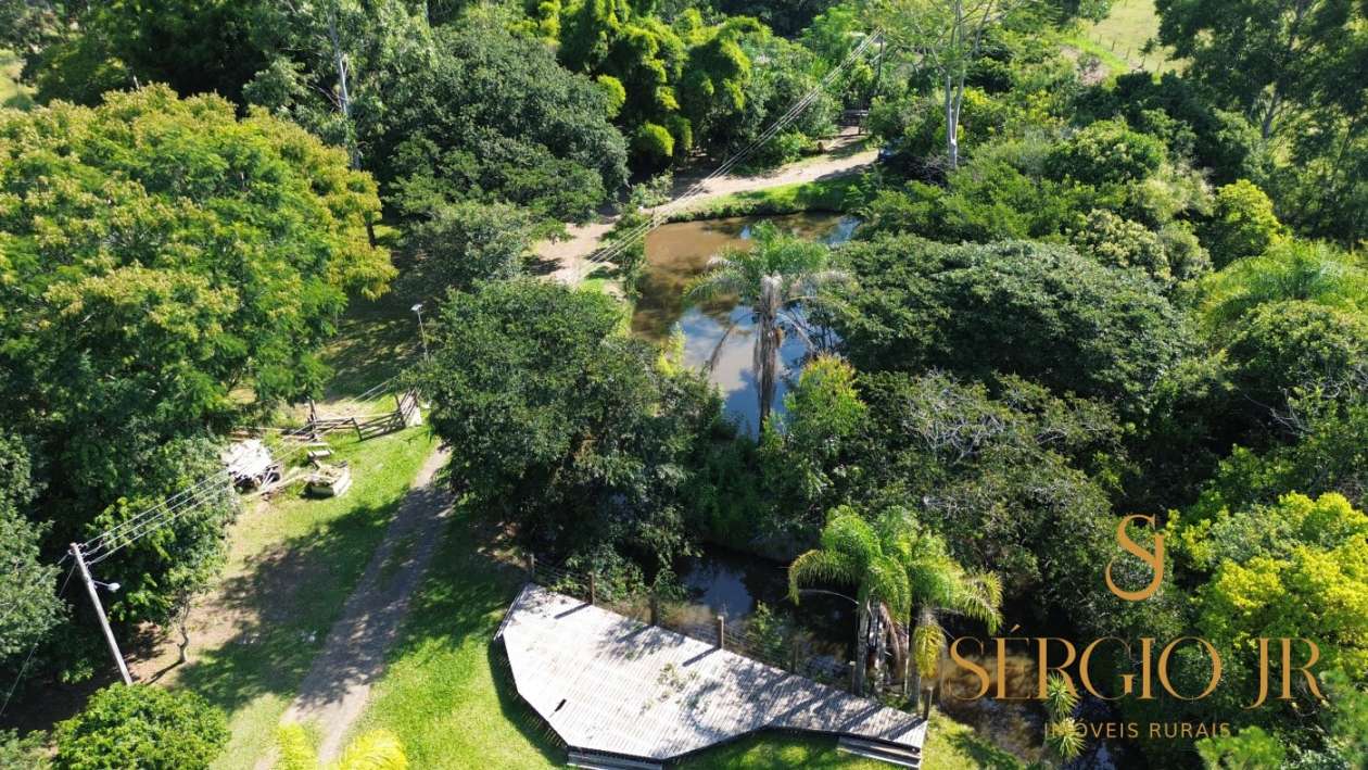 Chácara, 3 quartos, 10000 m² - Foto 11
