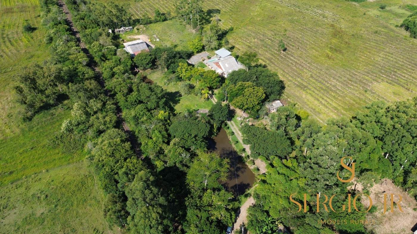 Chácara, 3 quartos, 10000 m² - Foto 19