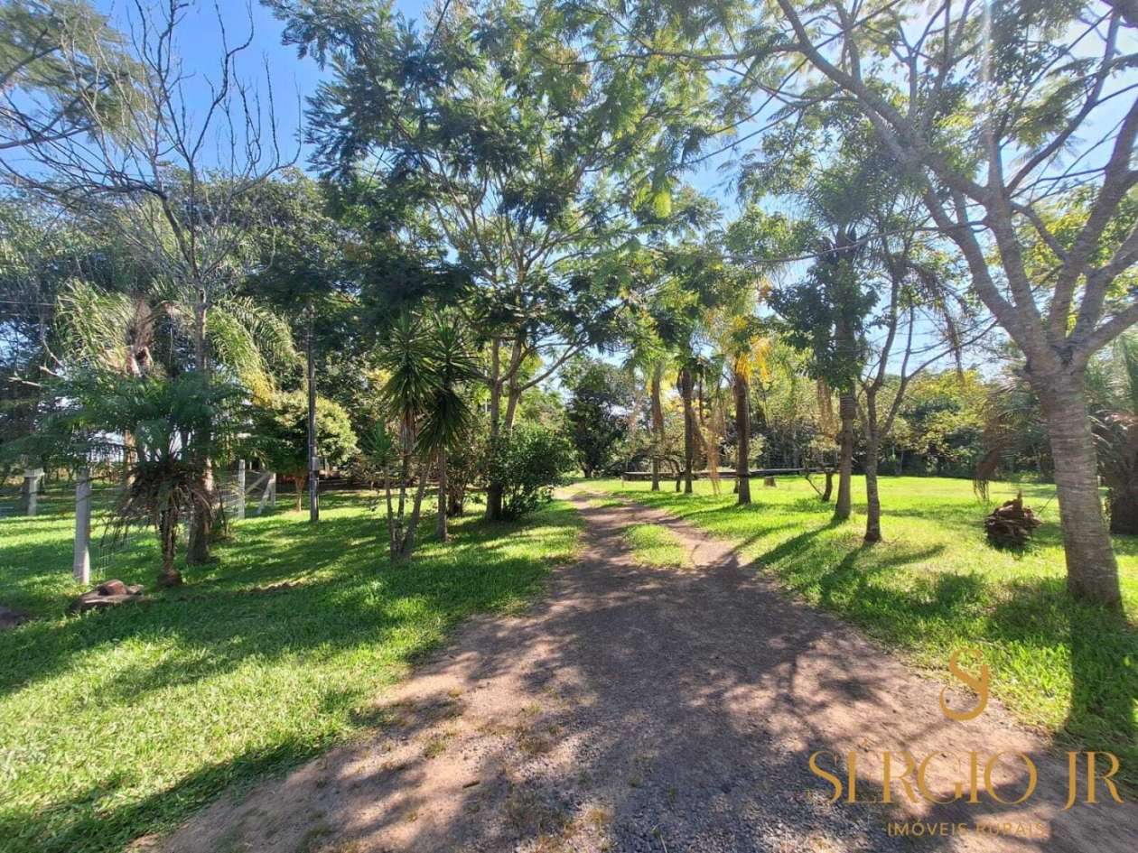 Chácara, 3 quartos, 10000 m² - Foto 31