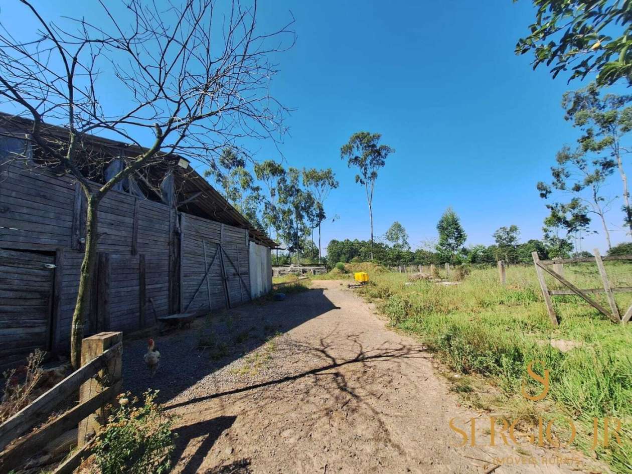 Chácara, 3 quartos, 10000 m² - Foto 33