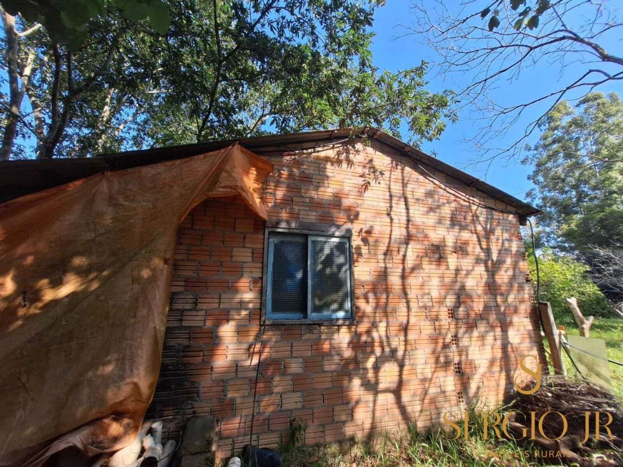 Chácara, 3 quartos, 10000 m² - Foto 40