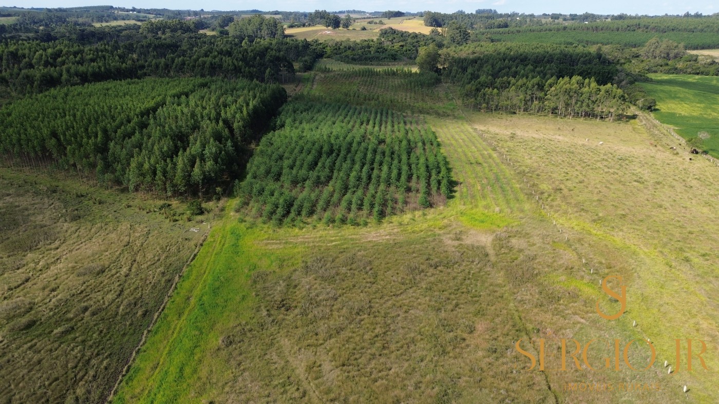 Loteamento e Condomínio, 11 hectares - Foto 2