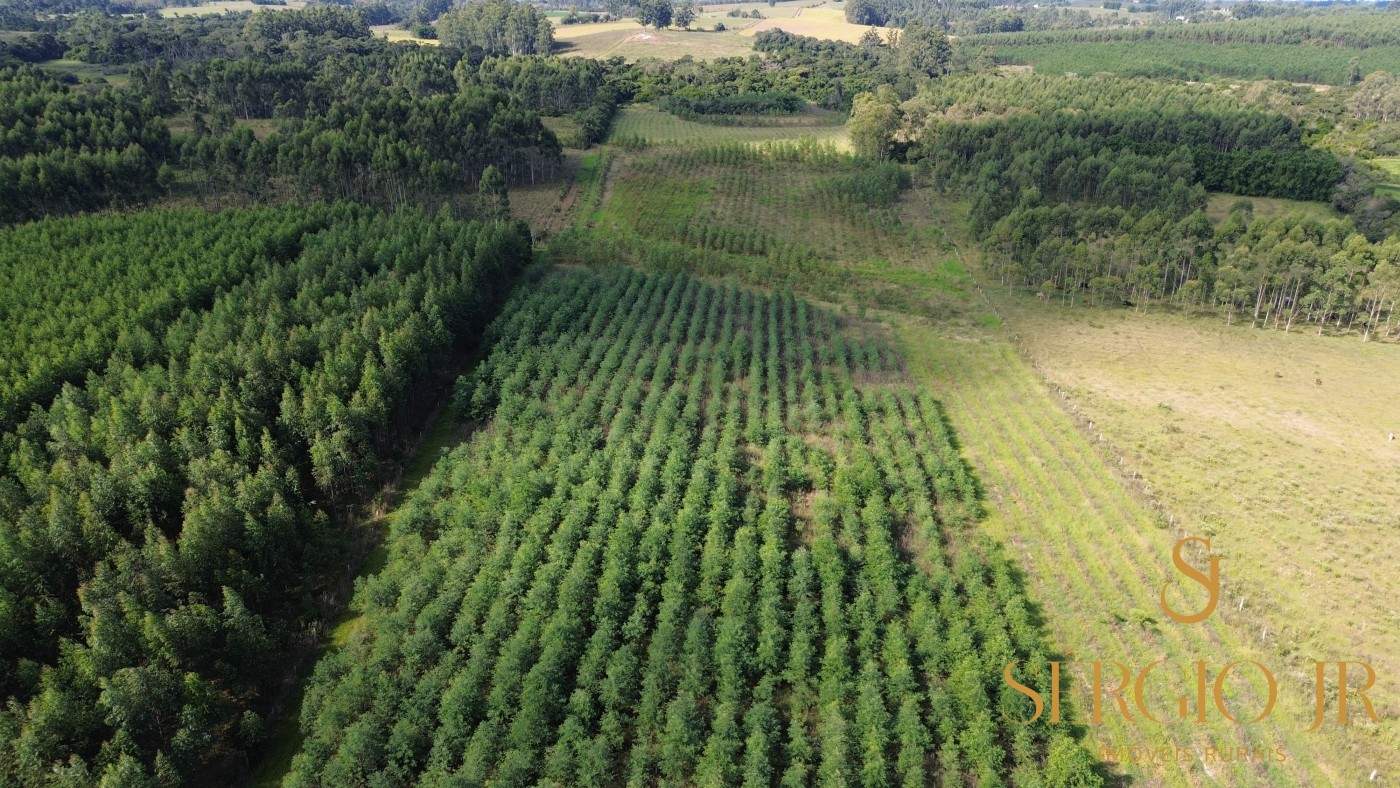 Loteamento e Condomínio, 11 hectares - Foto 1
