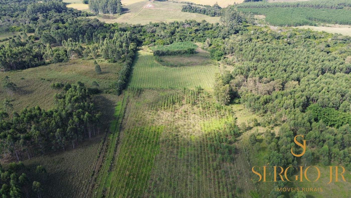 Loteamento e Condomínio, 11 hectares - Foto 4