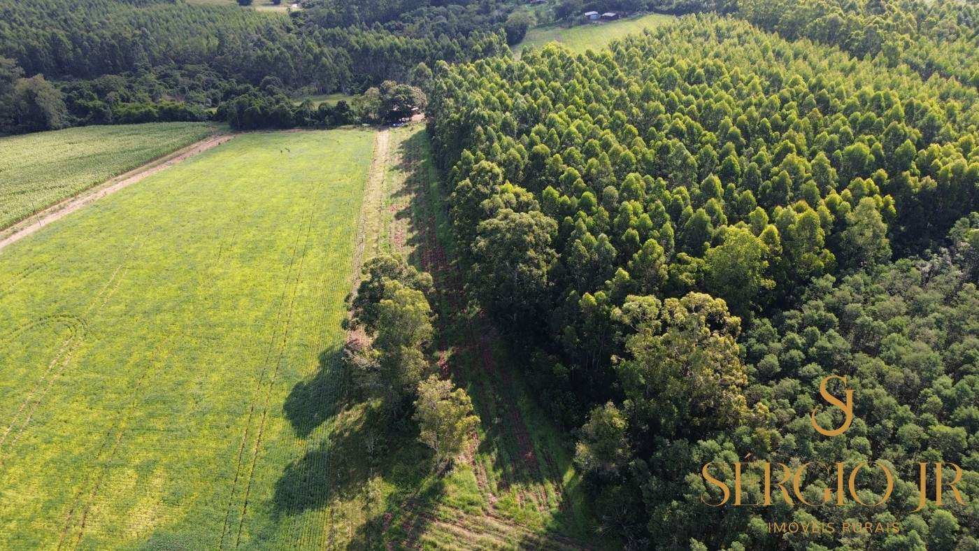 Loteamento e Condomínio, 11 hectares - Foto 8