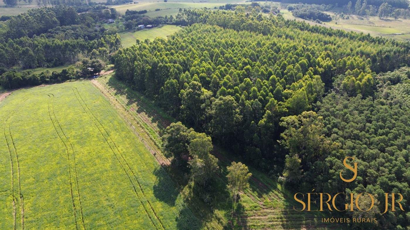 Loteamento e Condomínio, 11 hectares - Foto 10