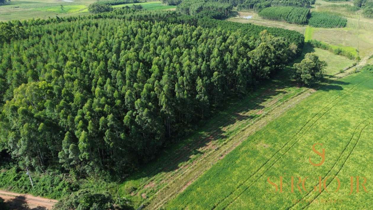 Loteamento e Condomínio, 11 hectares - Foto 17