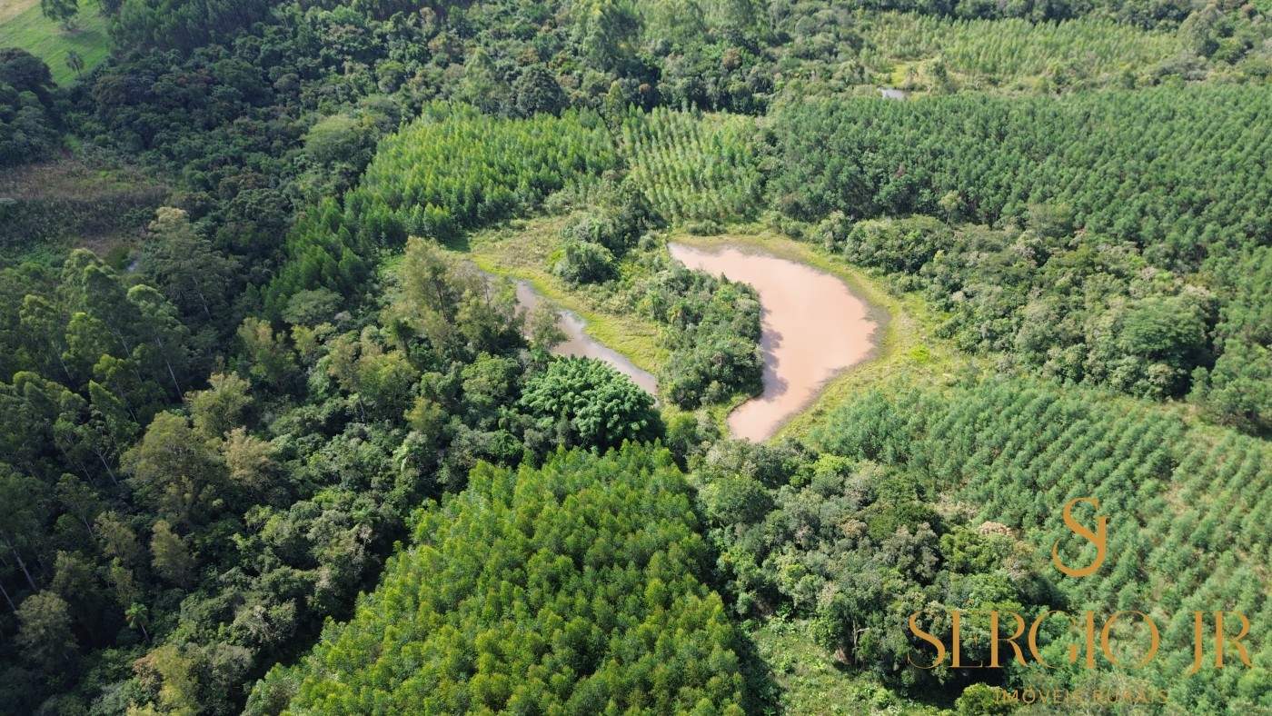 Loteamento e Condomínio, 8 hectares - Foto 4