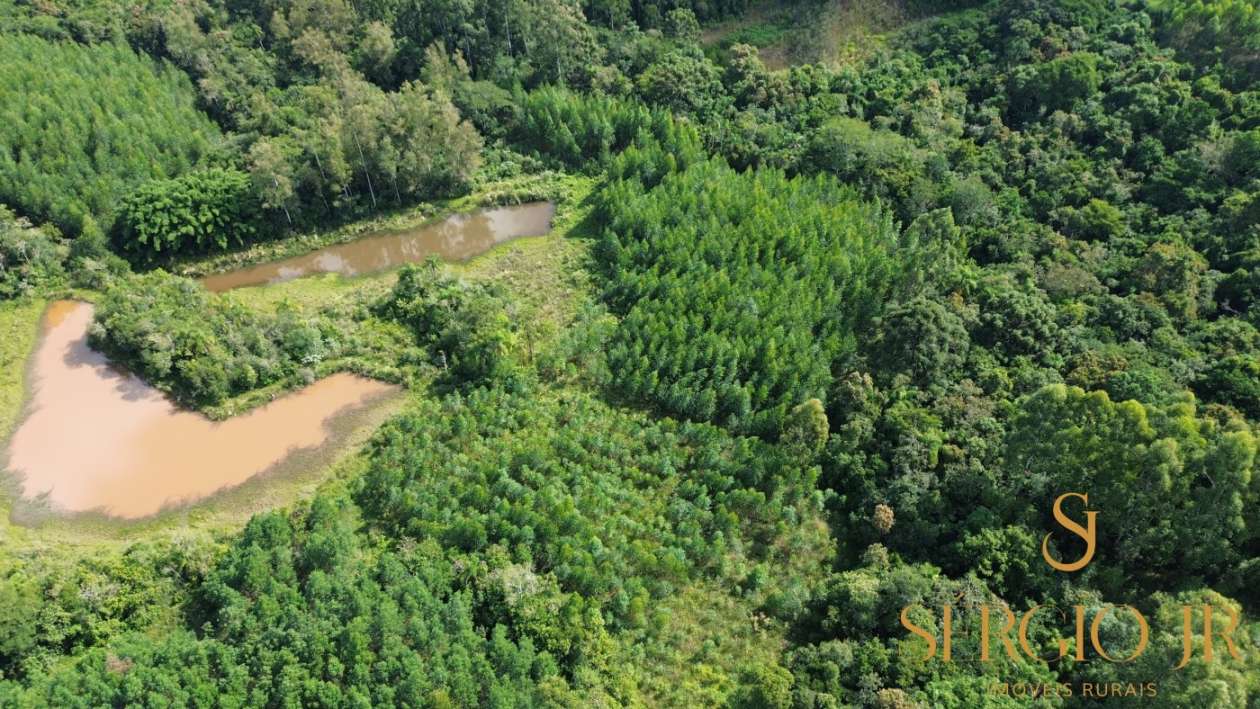 Loteamento e Condomínio, 8 hectares - Foto 8