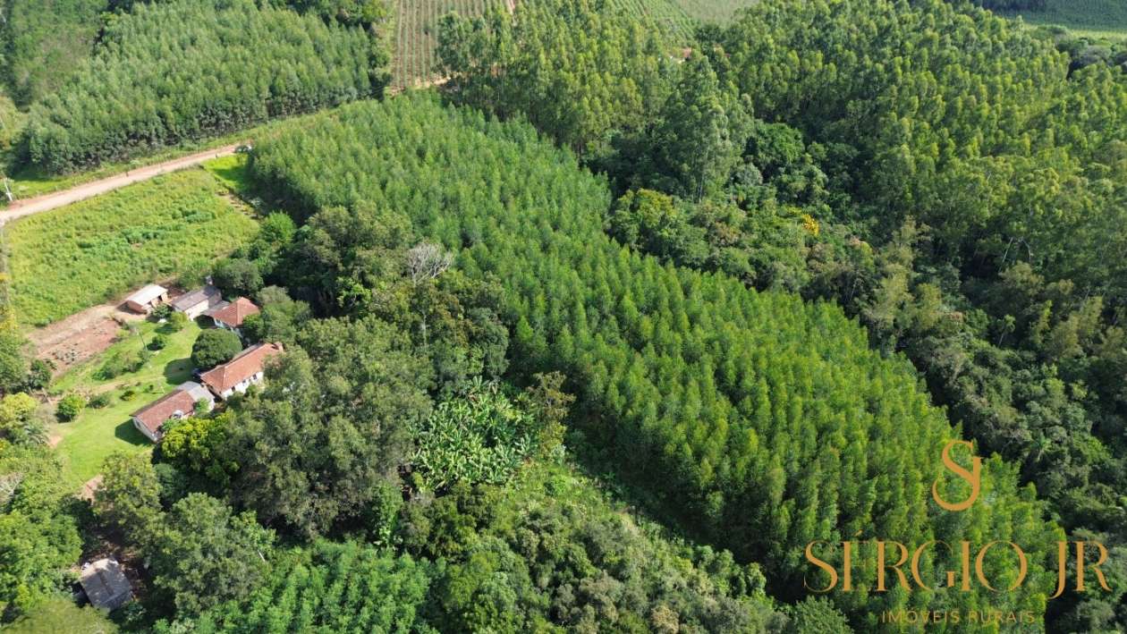 Loteamento e Condomínio, 8 hectares - Foto 19