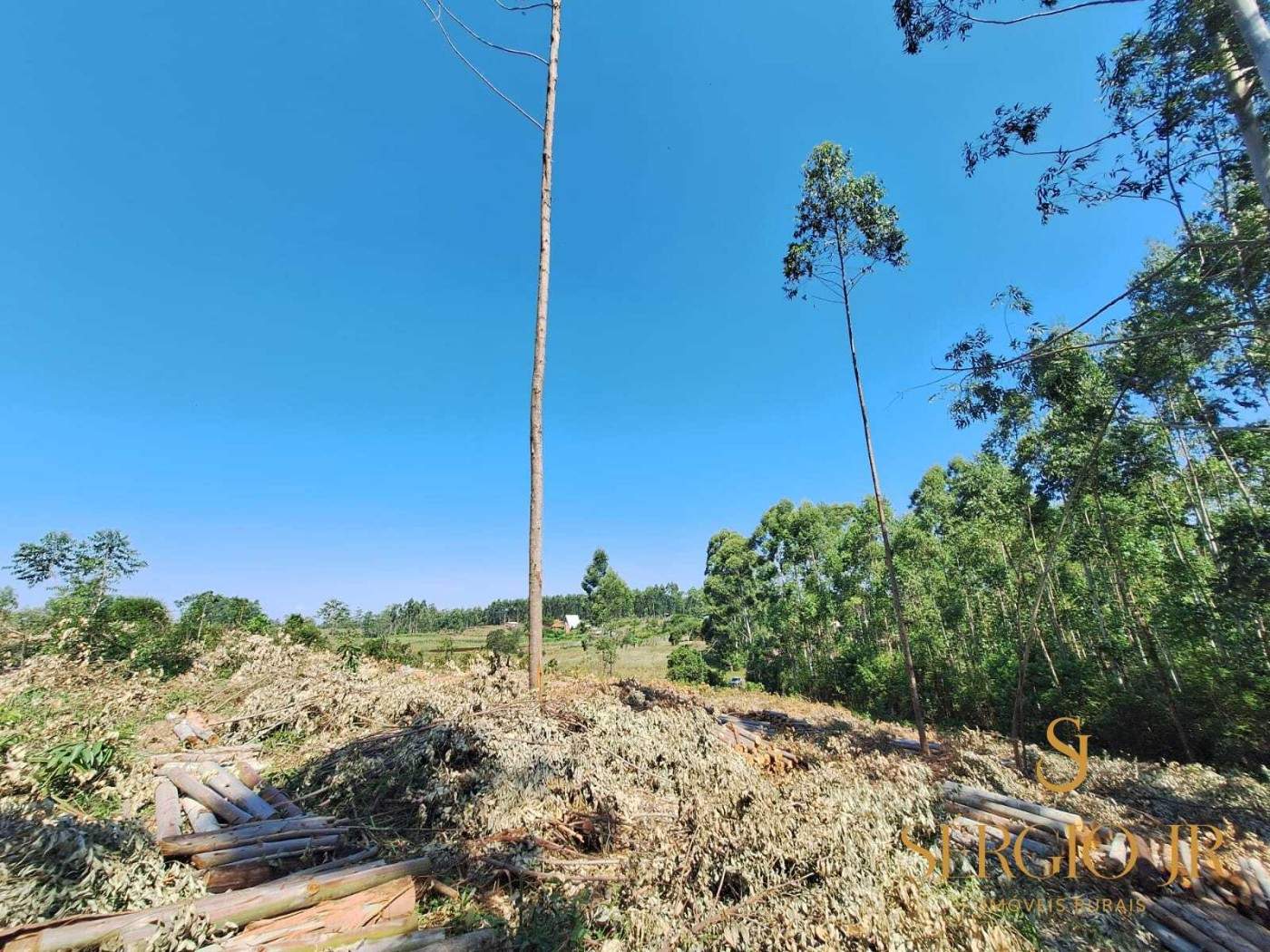 Loteamento e Condomínio, 2 hectares - Foto 14