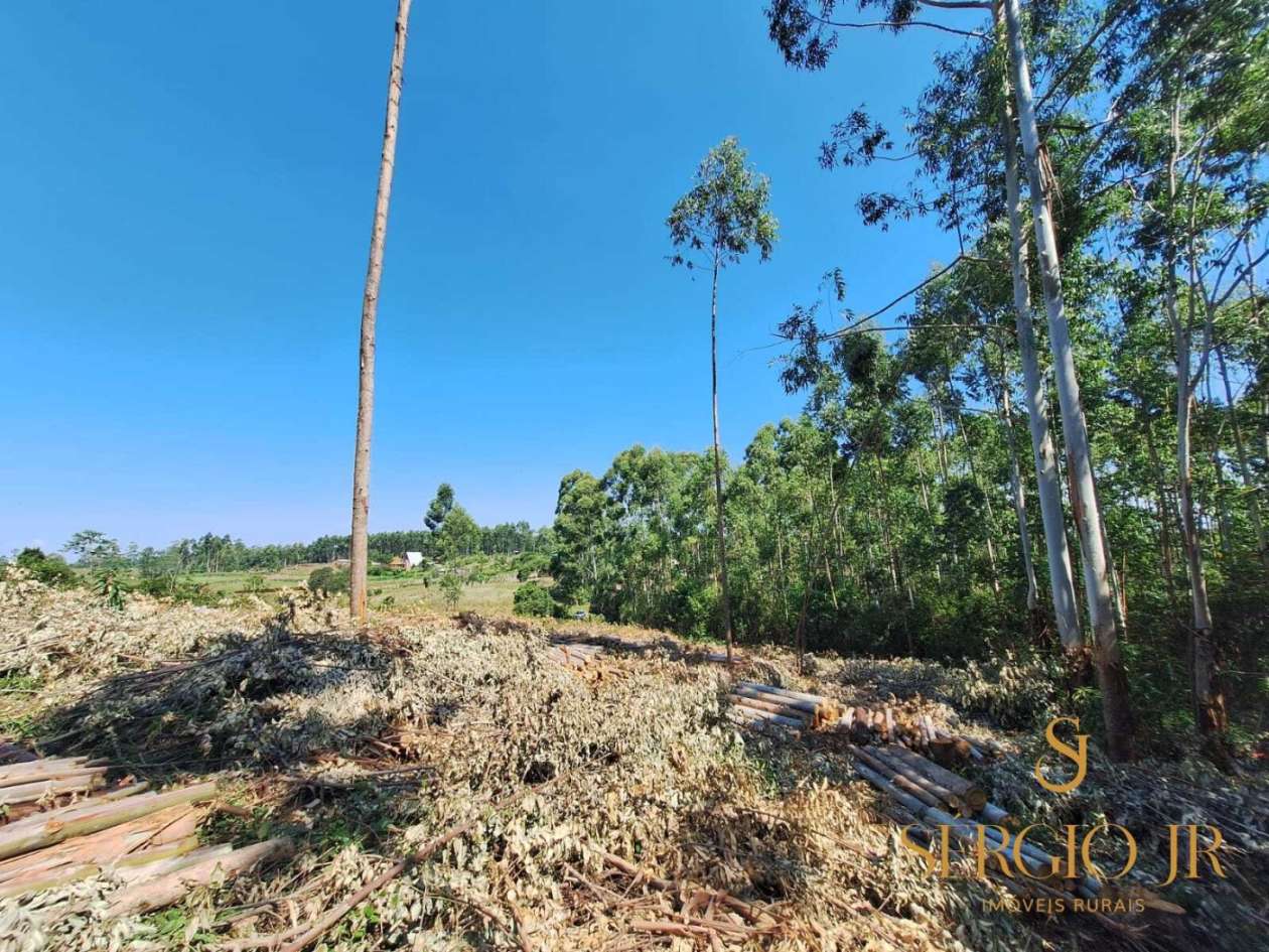 Loteamento e Condomínio, 2 hectares - Foto 12