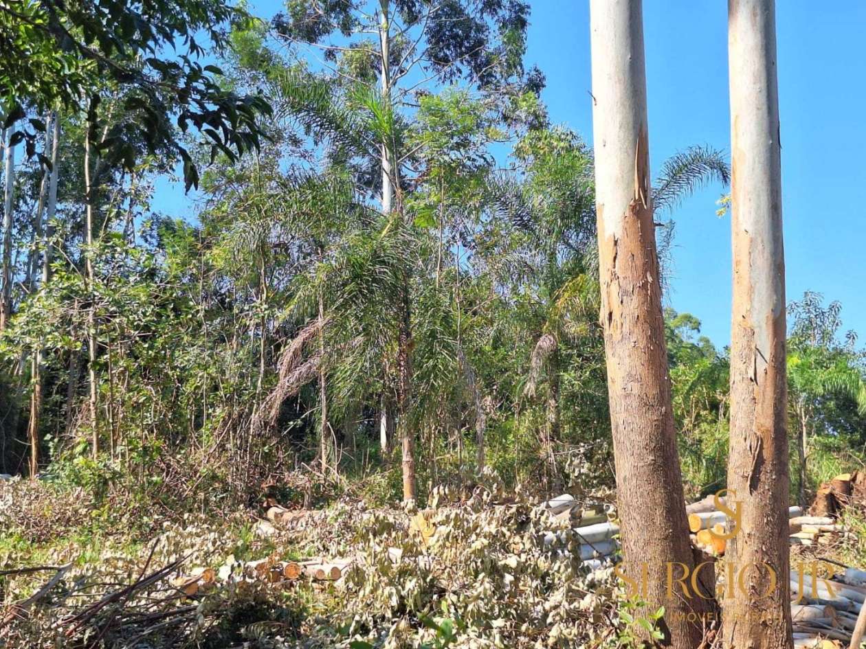 Loteamento e Condomínio, 2 hectares - Foto 16