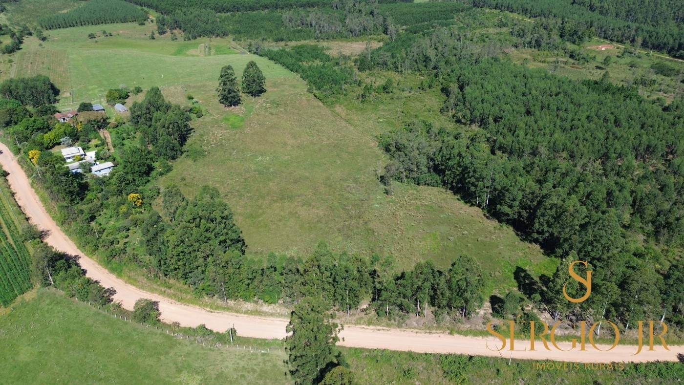 Chácara, 4 quartos, 5 hectares - Foto 4