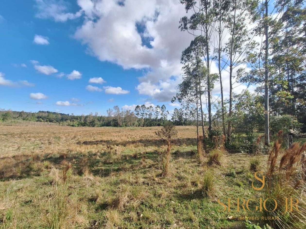 Chácara, 4 quartos, 5 hectares - Foto 18