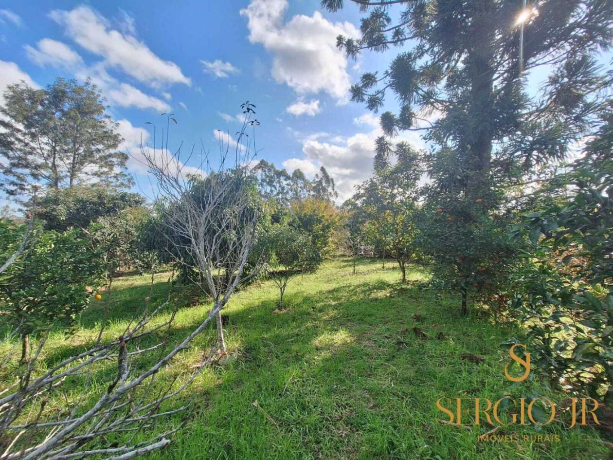 Chácara, 4 quartos, 5 hectares - Foto 19