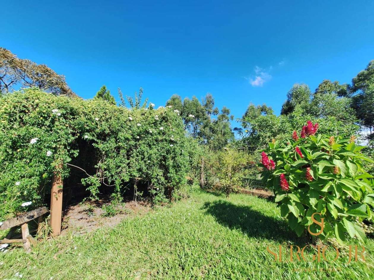 Chácara, 4 quartos, 5 hectares - Foto 34