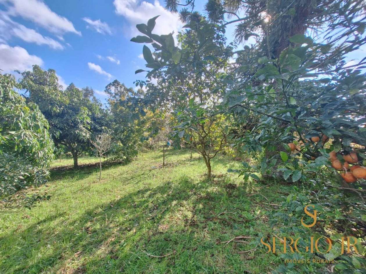 Chácara, 4 quartos, 5 hectares - Foto 38