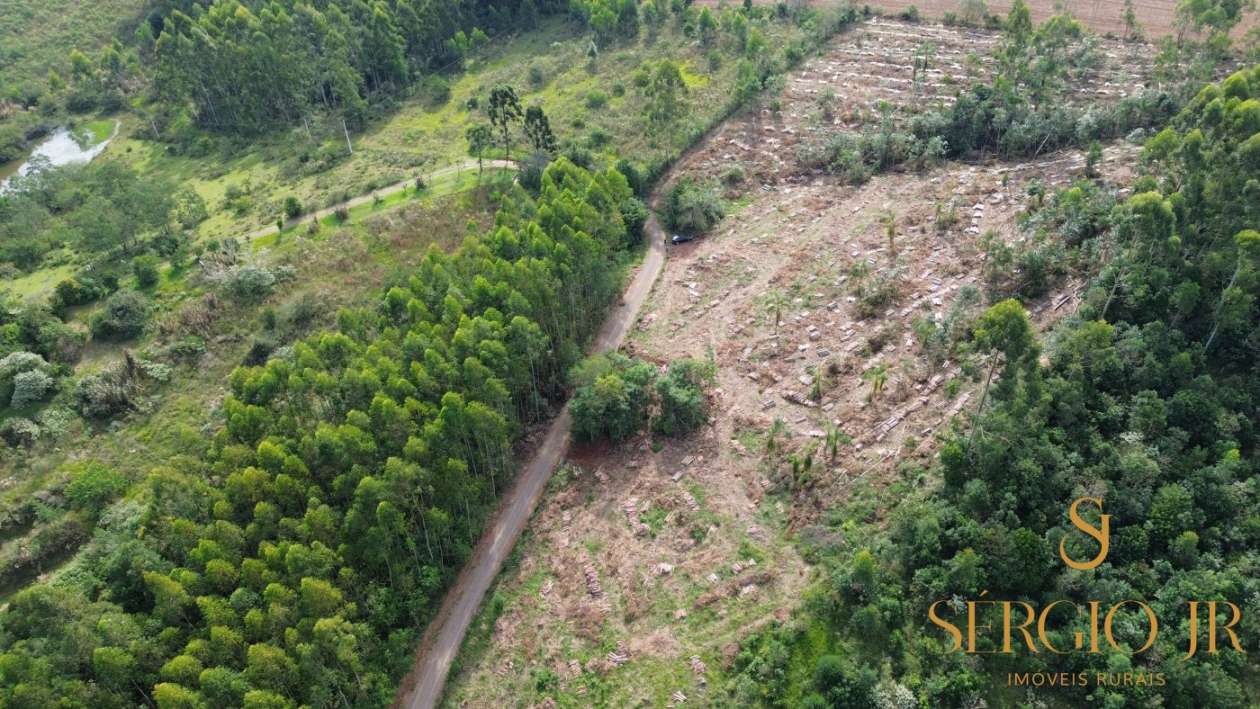 Loteamento e Condomínio, 2 hectares - Foto 3