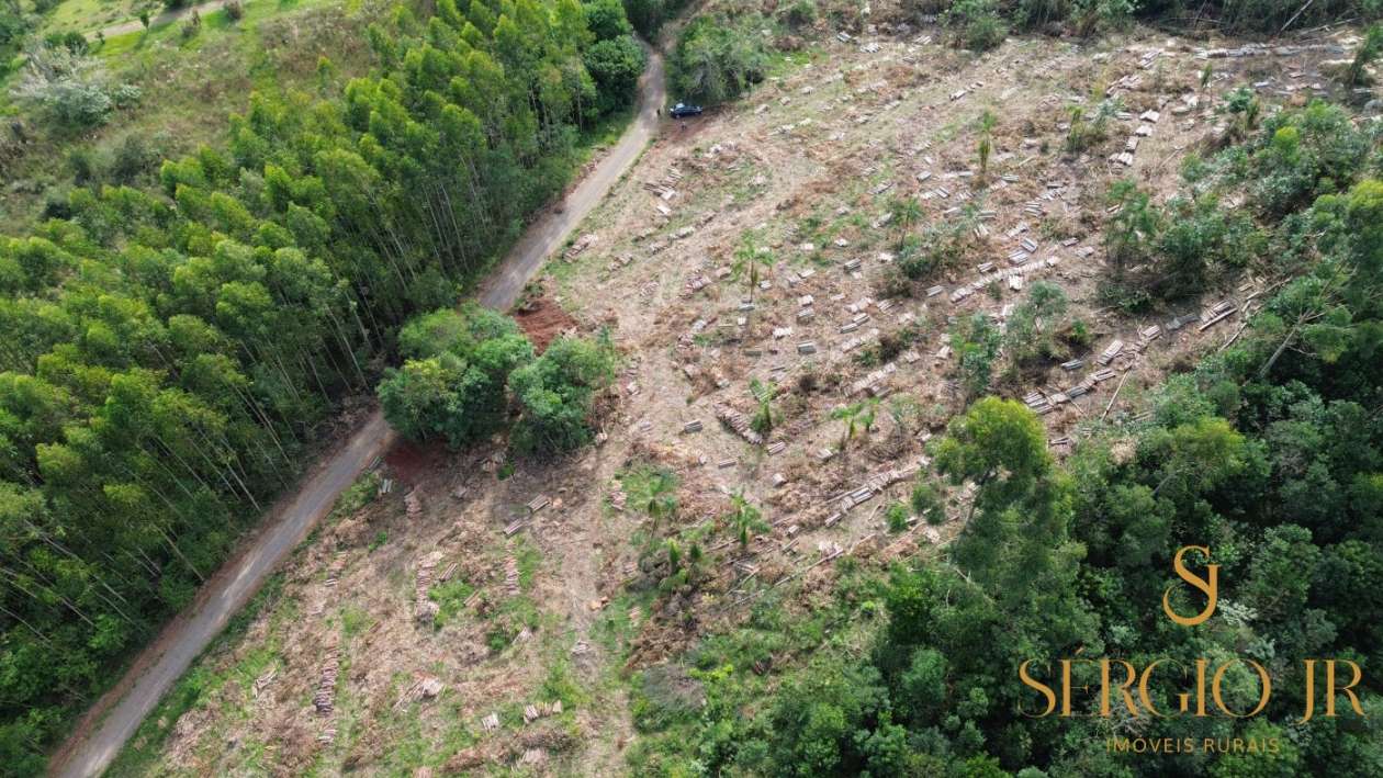 Loteamento e Condomínio, 2 hectares - Foto 4