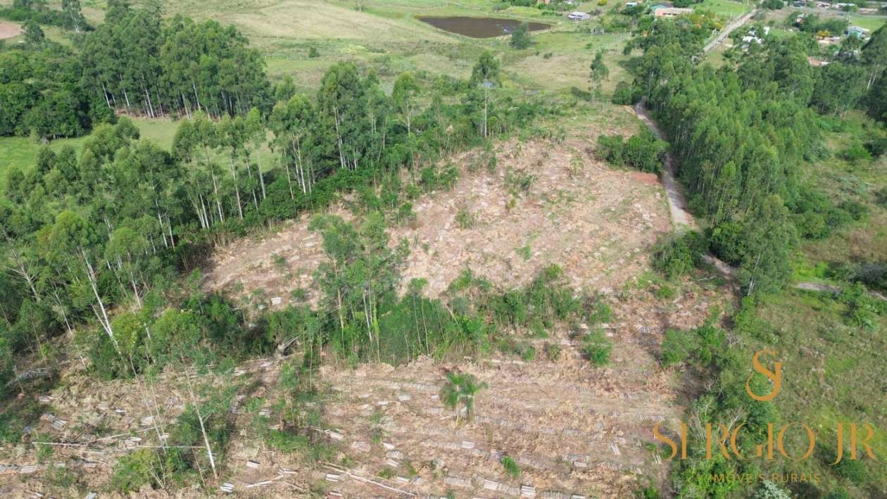 Loteamento e Condomínio, 2 hectares - Foto 6