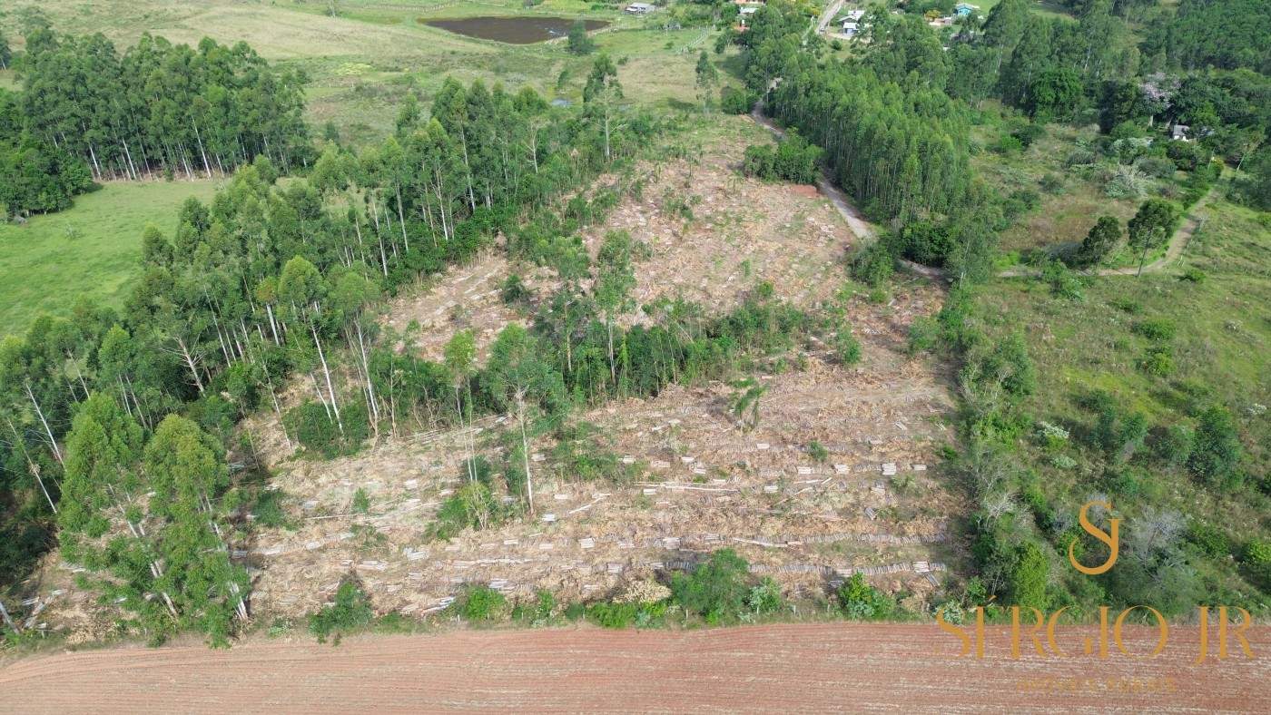 Loteamento e Condomínio, 2 hectares - Foto 7