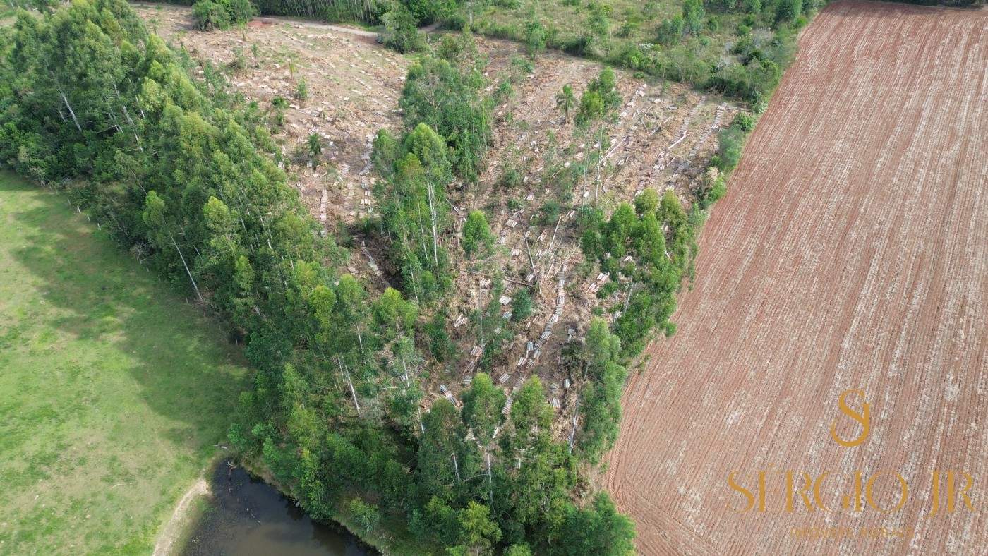 Loteamento e Condomínio, 2 hectares - Foto 8