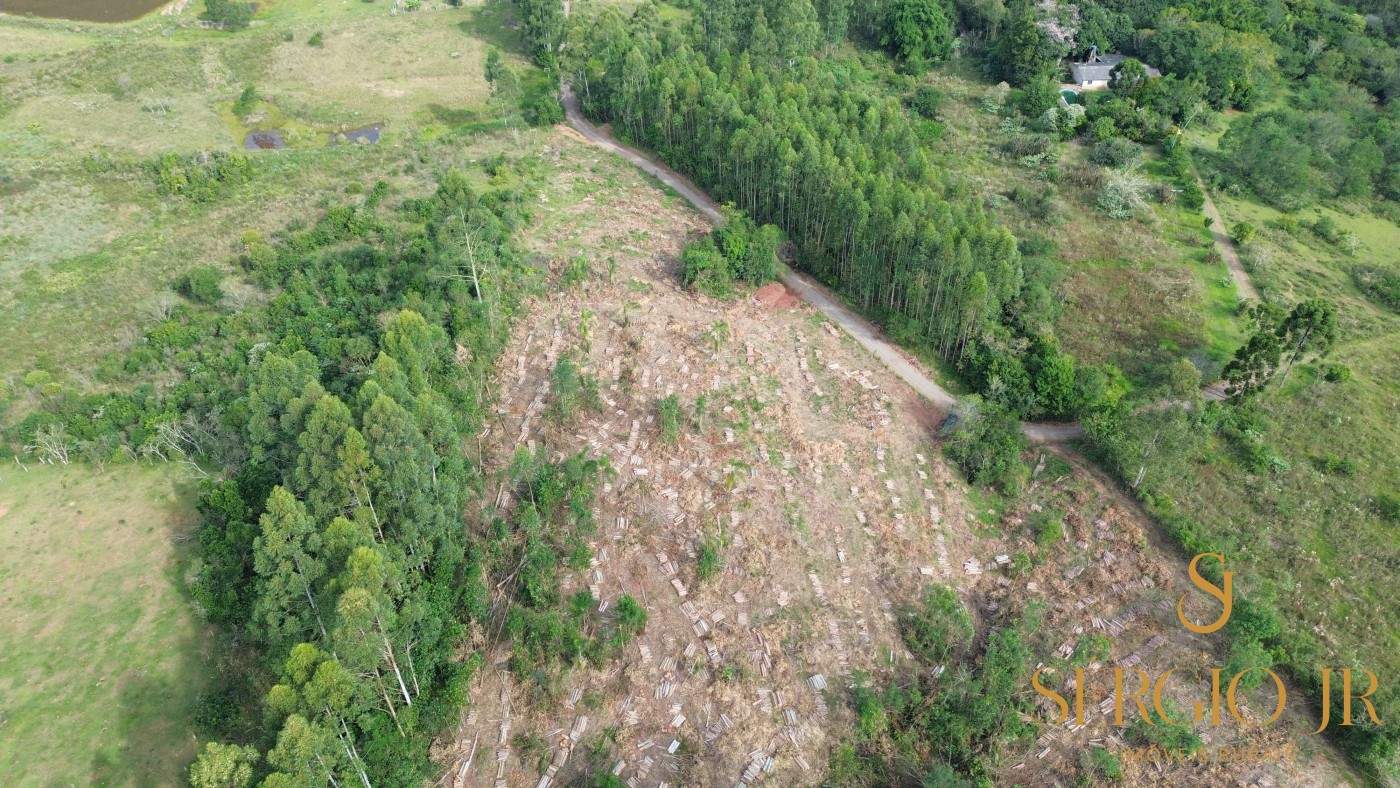 Loteamento e Condomínio, 2 hectares - Foto 9