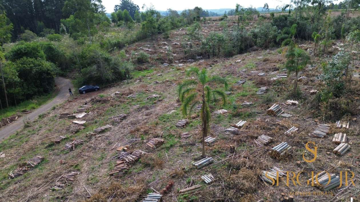 Loteamento e Condomínio, 2 hectares - Foto 17