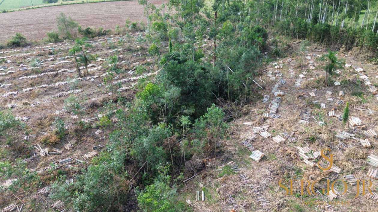 Loteamento e Condomínio, 2 hectares - Foto 19