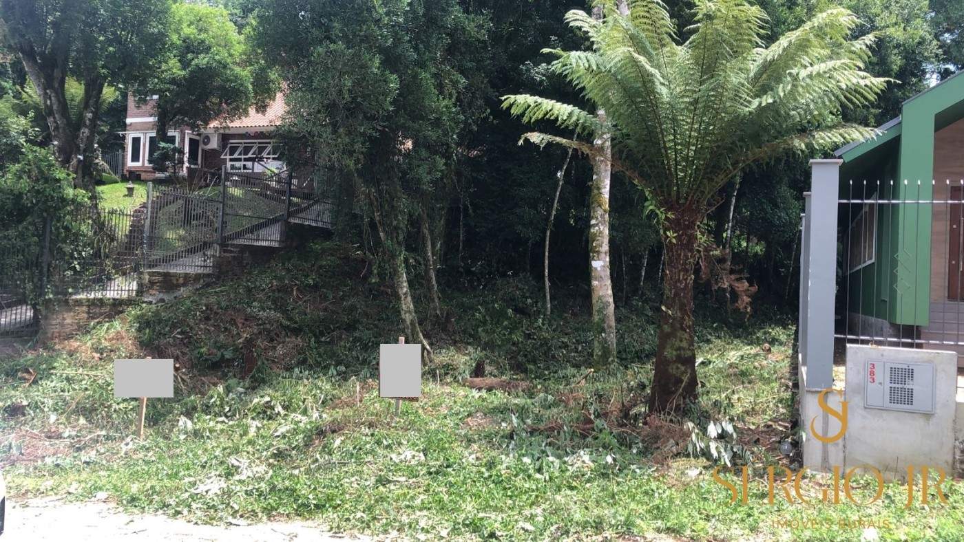 Terreno, 504 m² - Foto 2