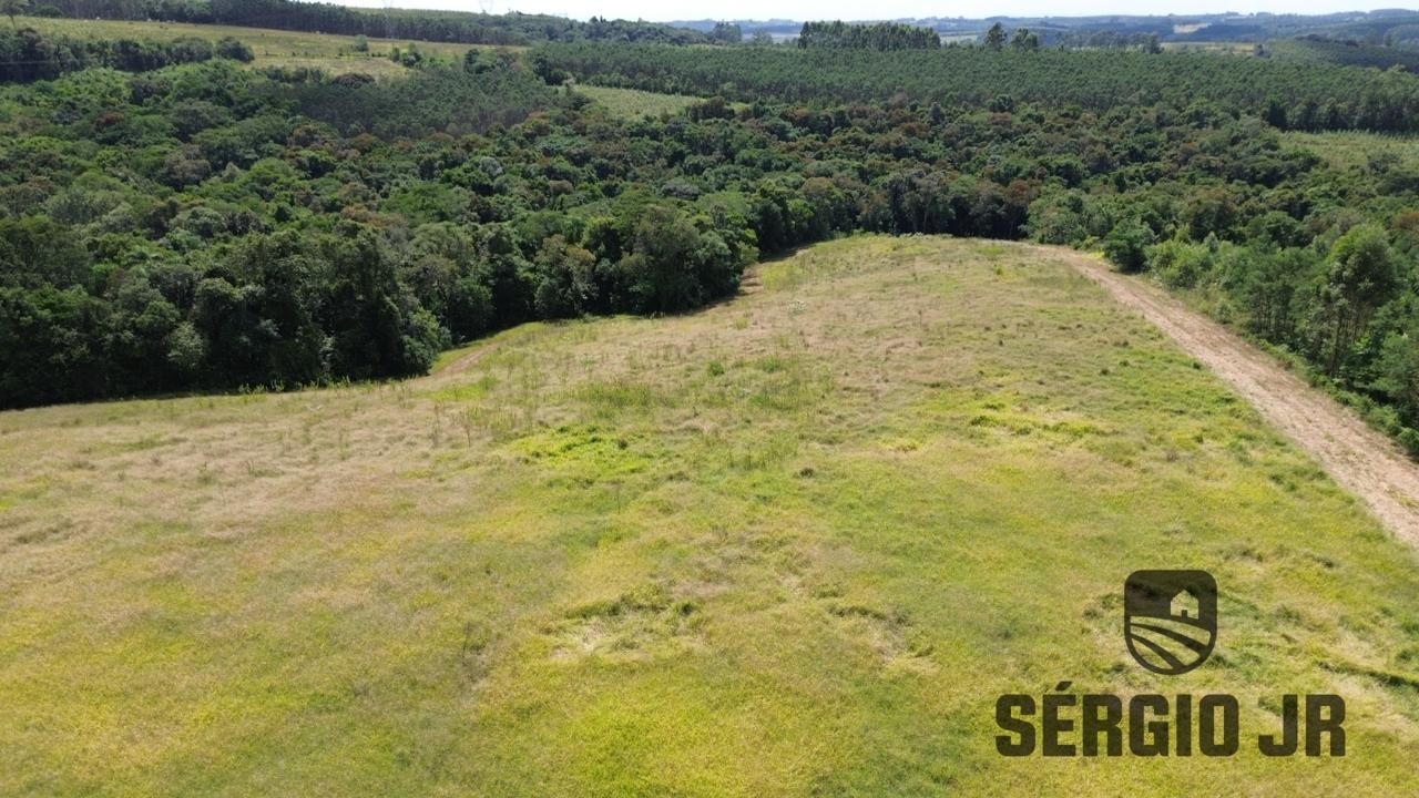 Chácara, 3 quartos, 6 hectares - Foto 6